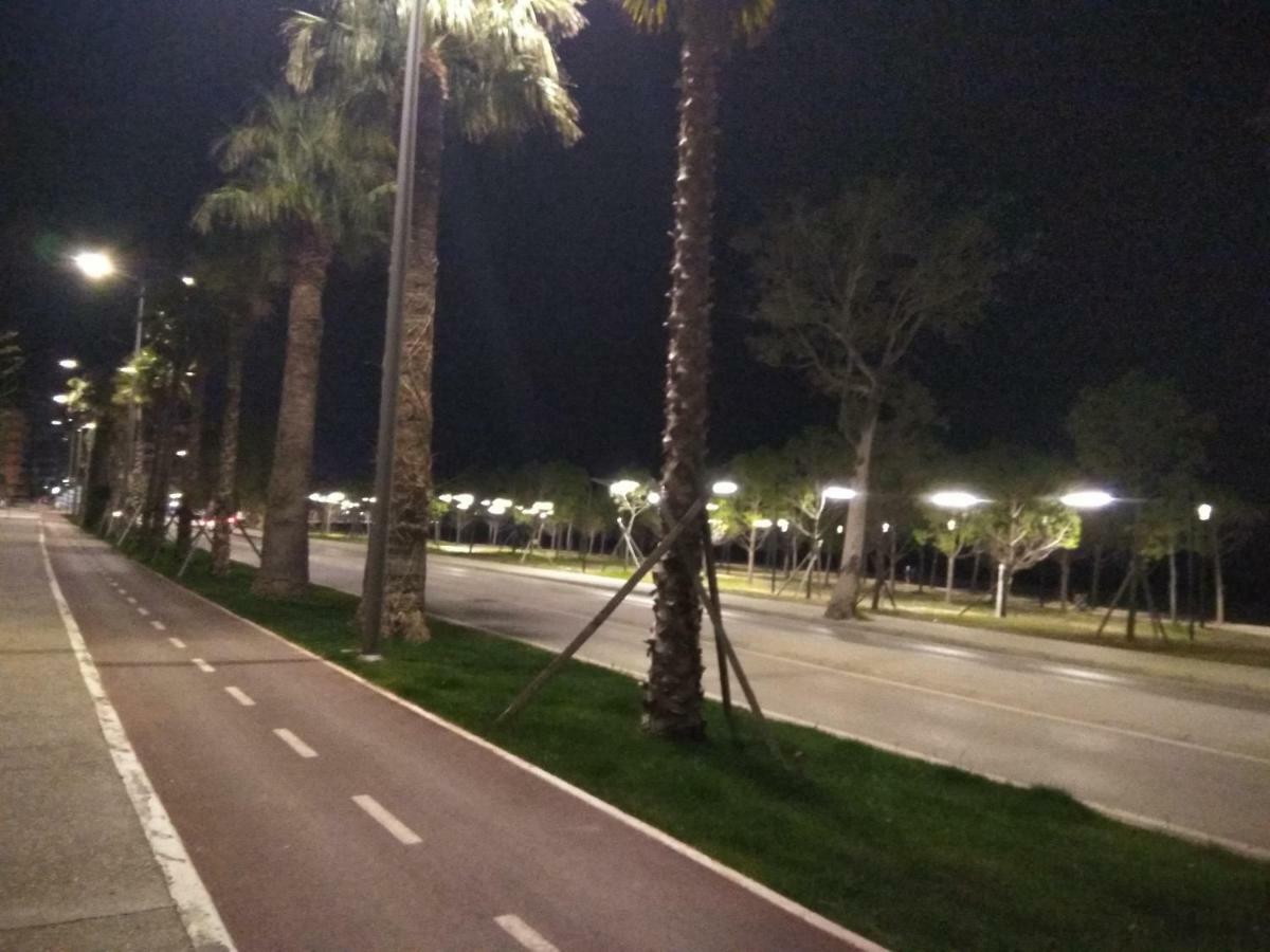 Julia * Vlore
